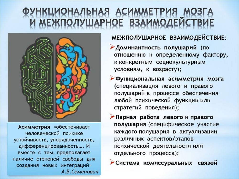 За что отвечает правое и левое полушарие мозга: тесты, развитие
