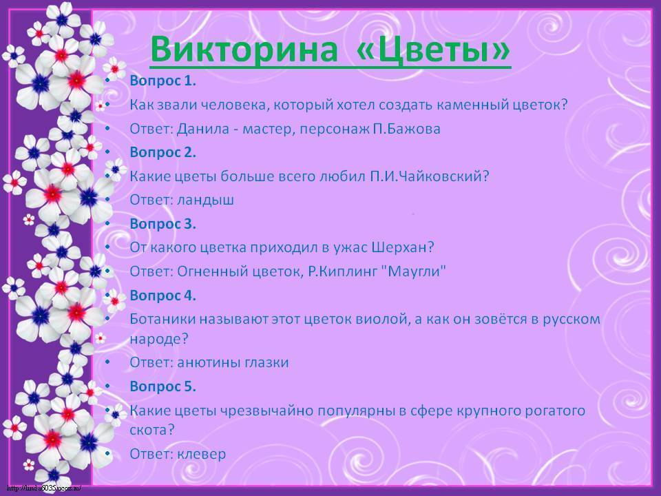 Викторина для детей 5-7 лет: топ-50 популярных вопросов и ответов для детишек