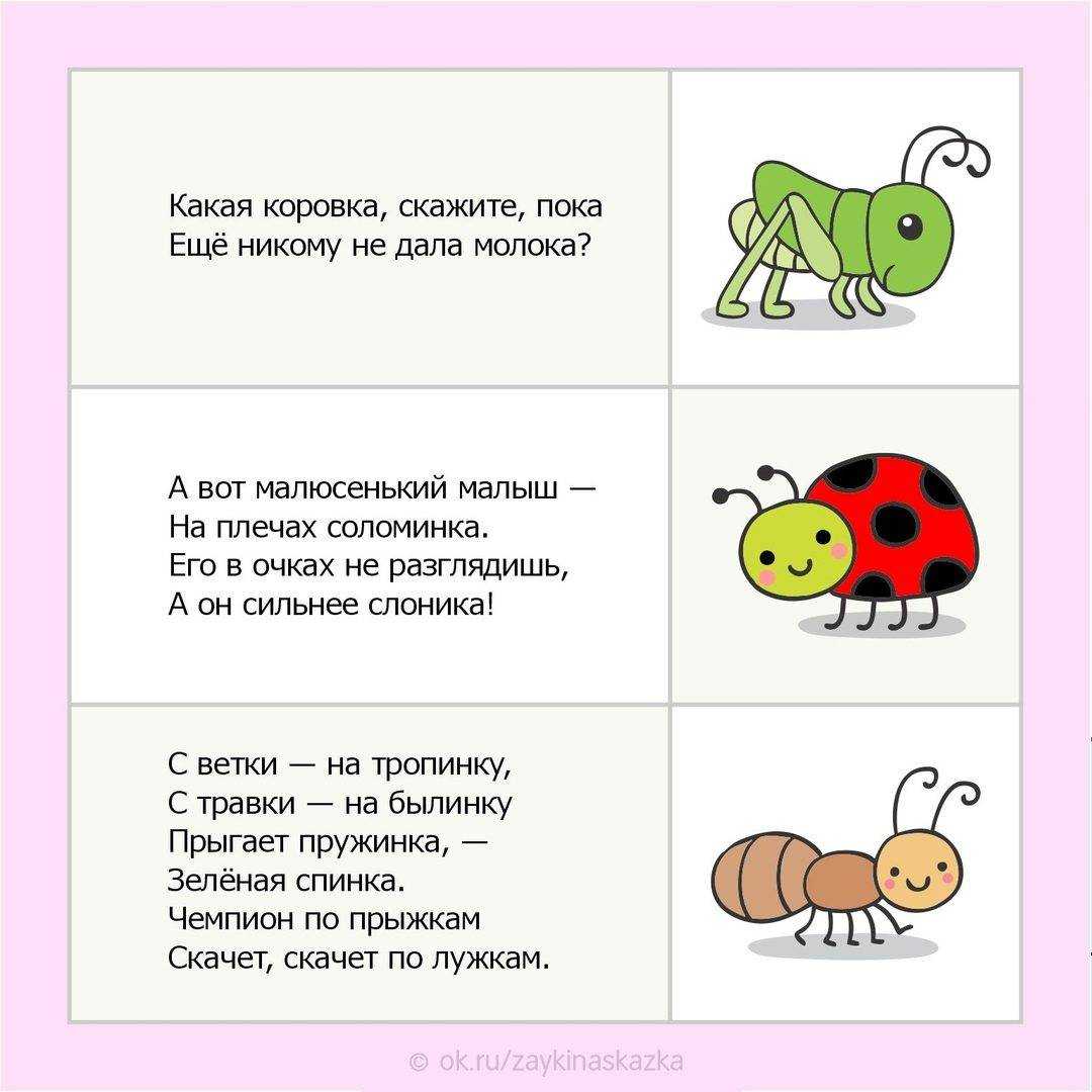 Загадки обманки для детей 8-10 лет с ответами
