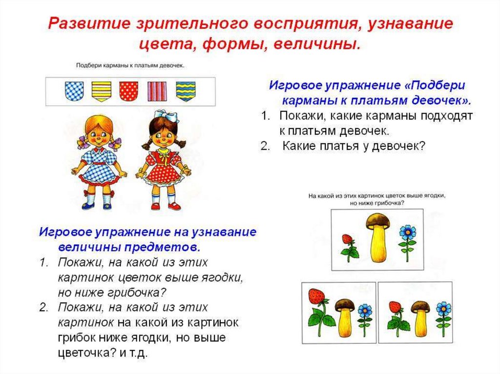 Восприятие ребенка в дошкольном возрасте - каковы особенности
