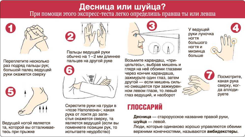 Если вам хочется узнать к какому типу относится ребёнок тест на левшу поможет в этом