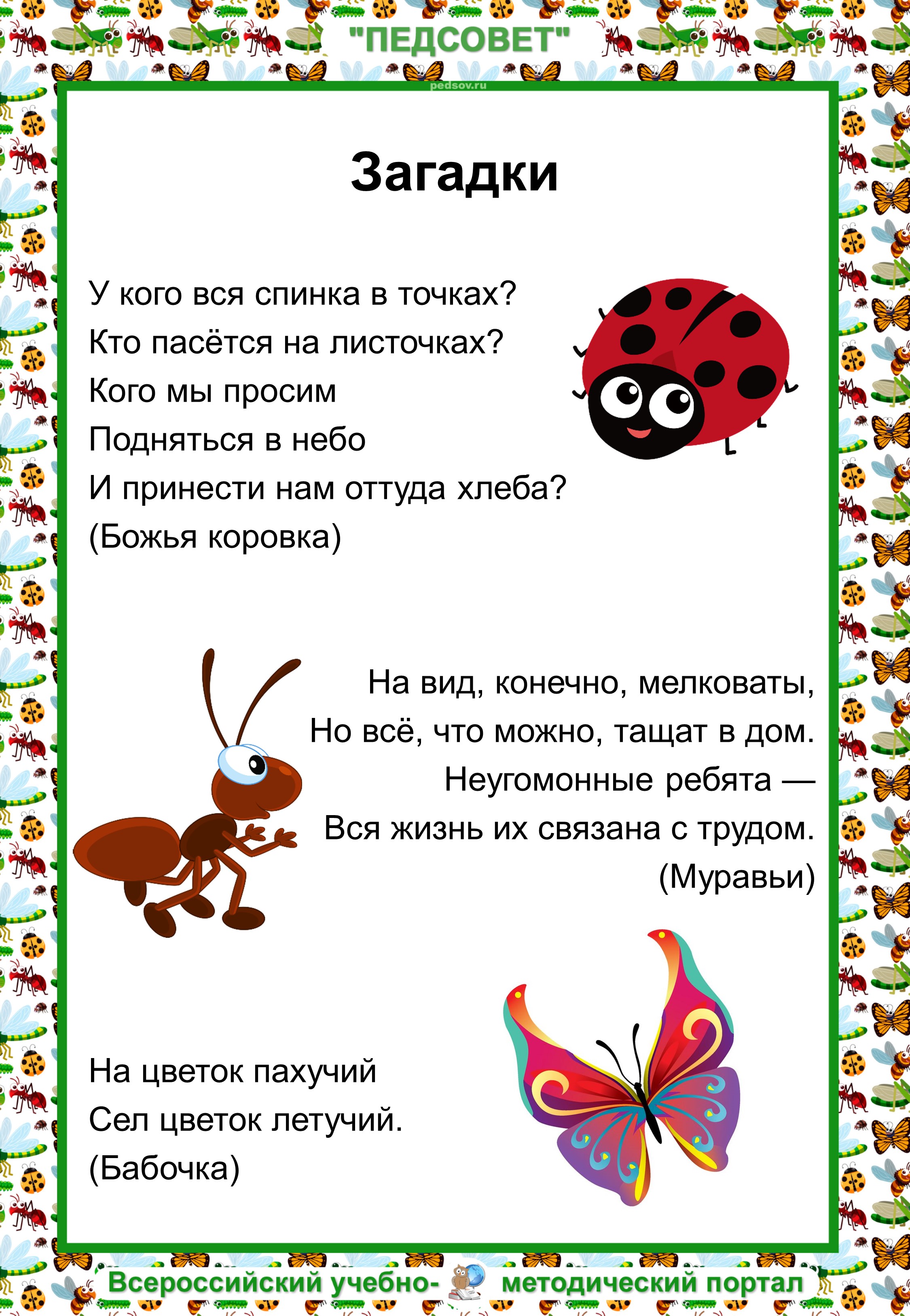Мы над вами вверх ногами… загадки про насекомых для детей