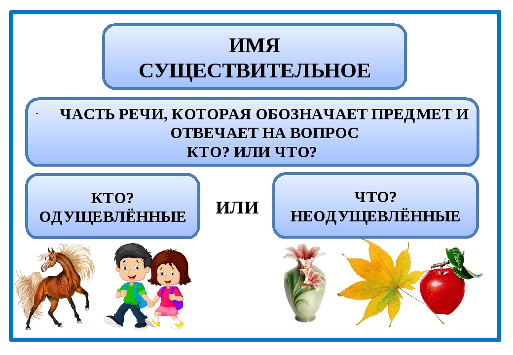 Имена существительные одушевлённые и неодушевлённые, собственные и нарицательные. род, число имён существительных - имя существительное