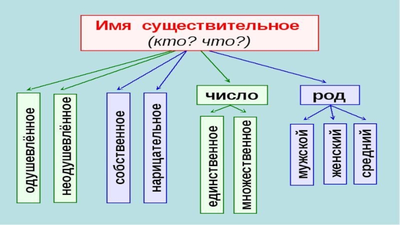Конспект урока по русскому языку в начальной школе на тему «имена существительные одушевлённые и неодушевлённые»