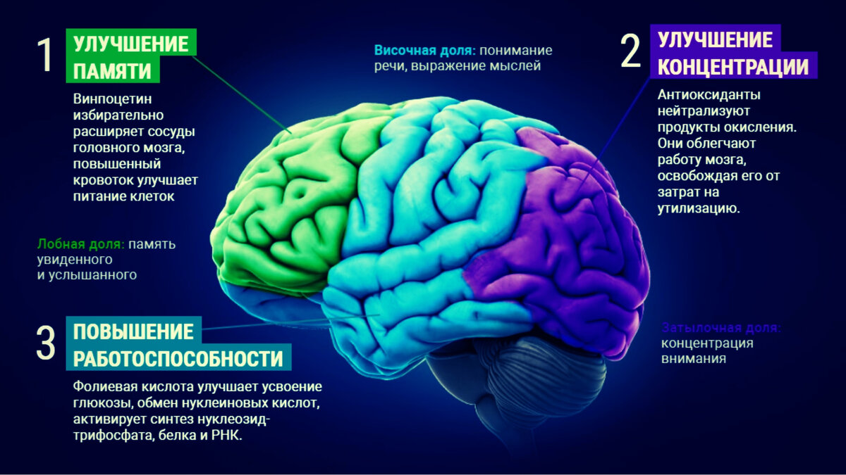 Как развить память у ребенка дошкольного и школьного возраста