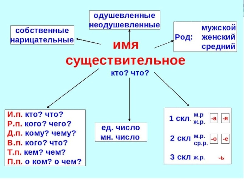 Урок 8: имена существительные - 100urokov.ru
