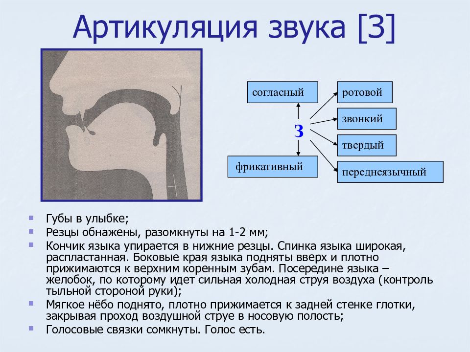 Ведущим дефектом при дизартрии является нарушение звукопроизносительной и просодической стороны речи связанное с органическим поражением центральной и периферической нервной систем