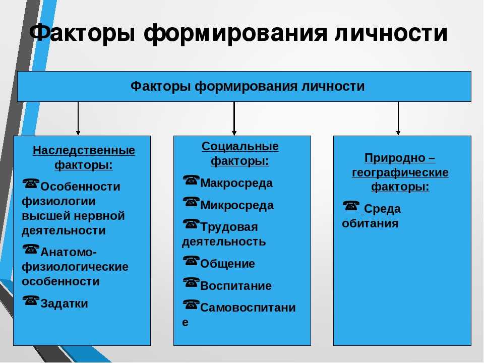 Личность формируется под влиянием наследственно обусловленных потенциальных качеств и факторов окружающей среды