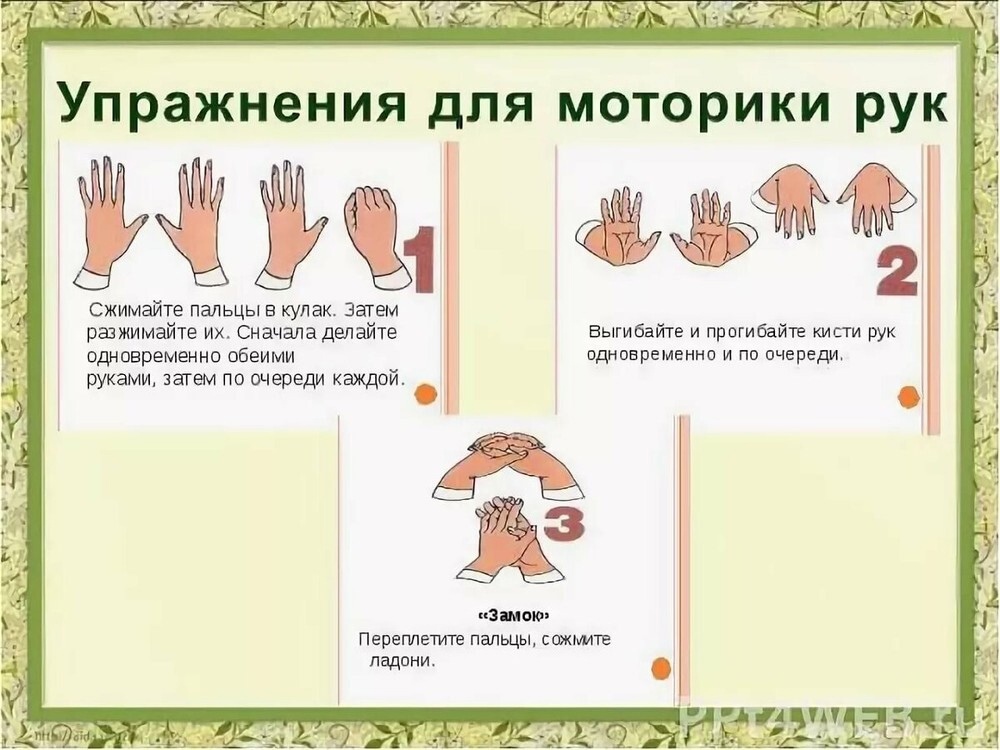 Игры на развитие крупной моторики на 2-4 года