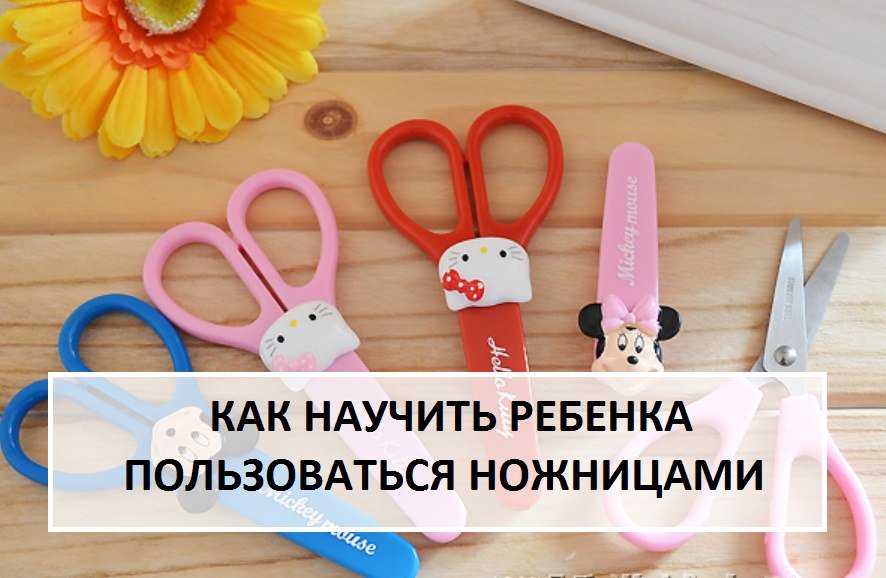 Как правильно держать закругленные ножницы. программа «ножницы»: где находится, как пользоваться. игра с ножницами "что прячется в траве"
