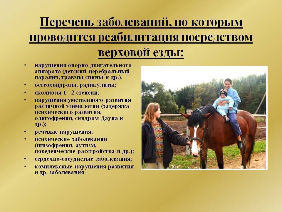 Иппотерапия
