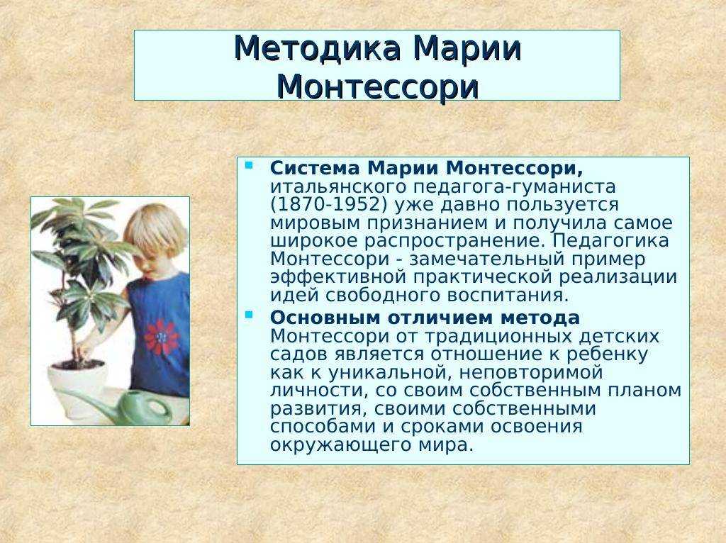 Что такое система монтессори