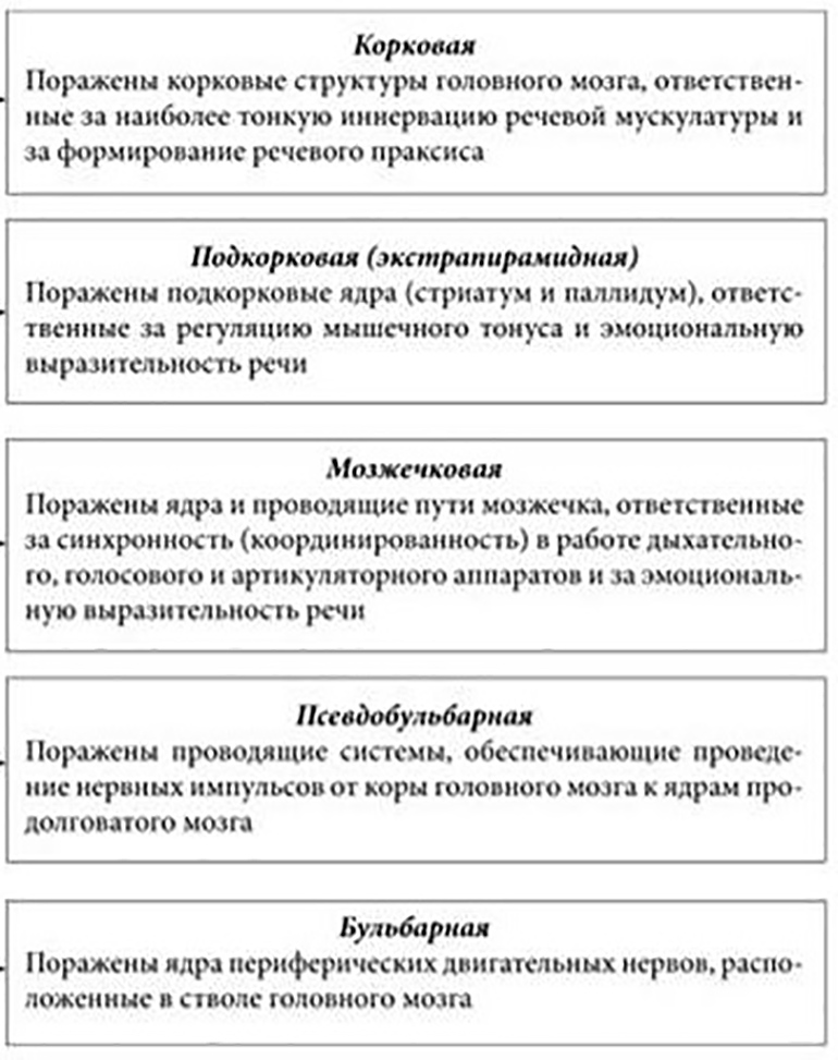 Дизартрия нарушение речи вызванное сбоями в иннервации мышц речевого аппарата следствием чего является невозможность полноценно говорить Сопровождается неврологической симптоматикой