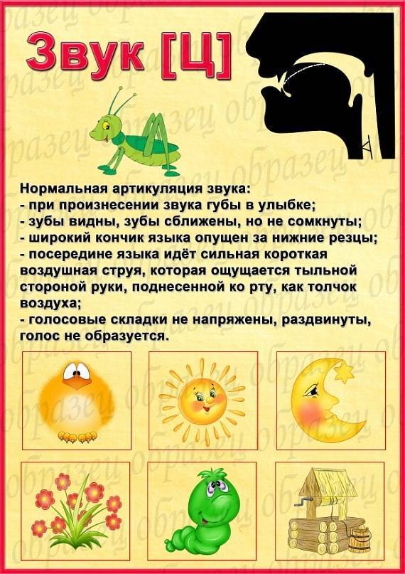 Учим звуки. комплекс артикуляционных упражнений для постановки звуков с, сь, з, зь, ц.