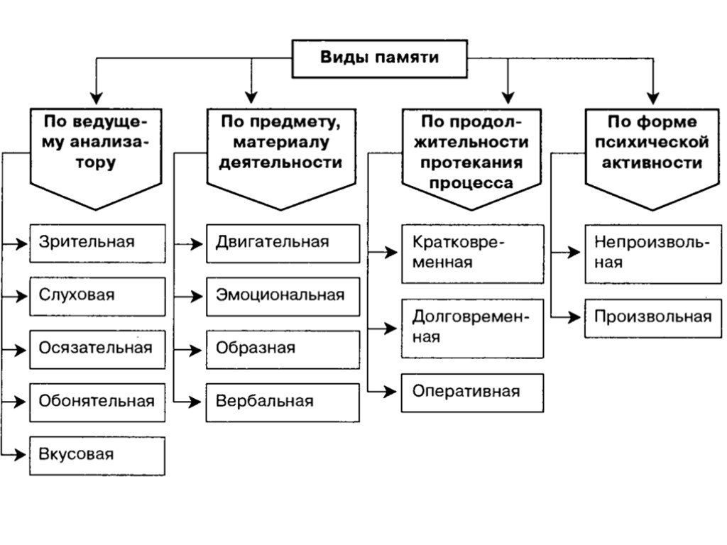 Как развить память у ребенка и улучшить внимание у детей от 5 лет и старше