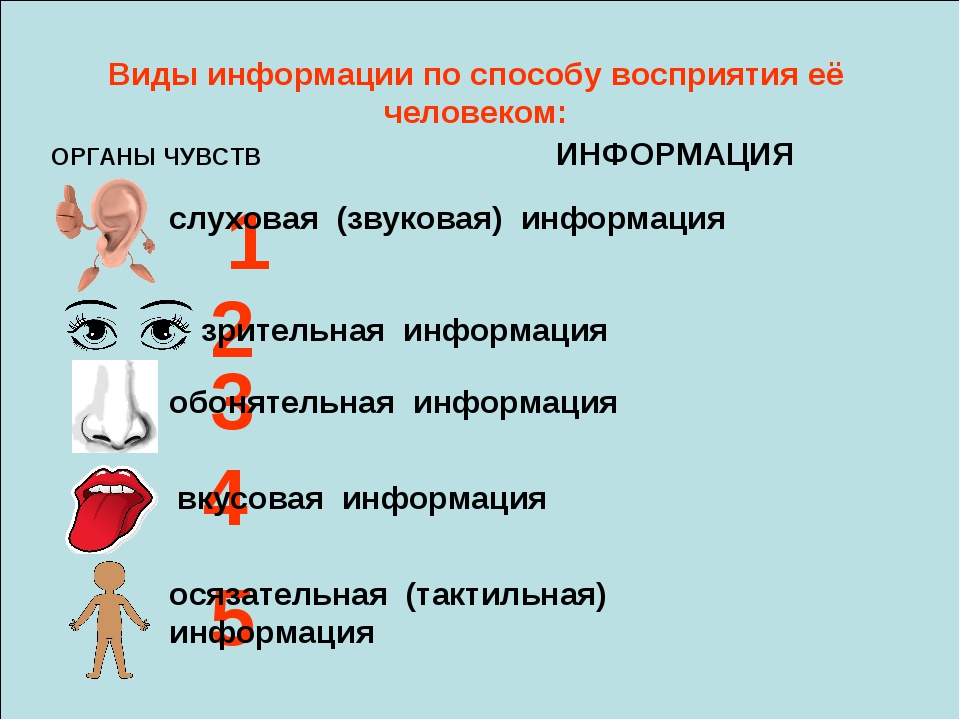 Лингвистический аспект конфликтологической компетентности