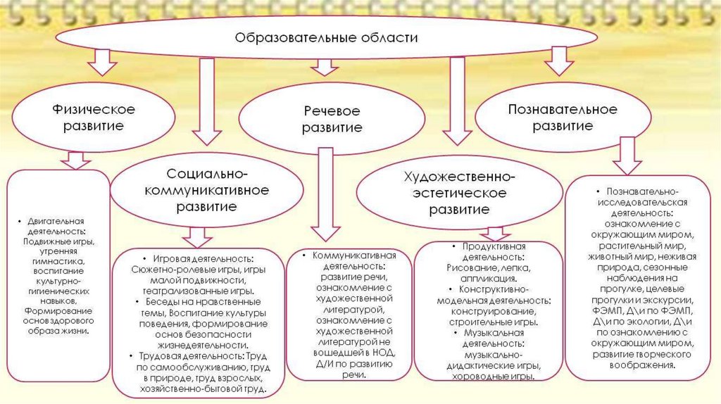 Экологическое воспитание дошкольников с учетом фгос: программа, проекты и прочее + фото