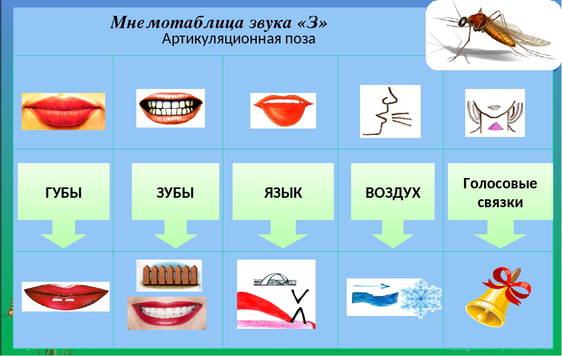 Глава 8. дизартрия - волкова л.с., шаховская с.н. и др. логопедия