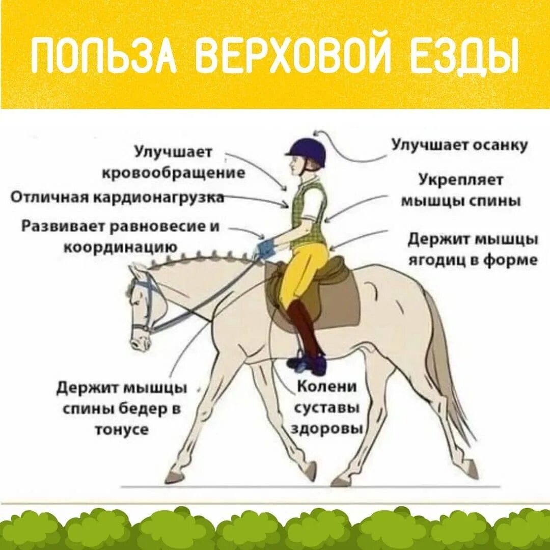 Узнайте обо всех преимуществах иппотерапии