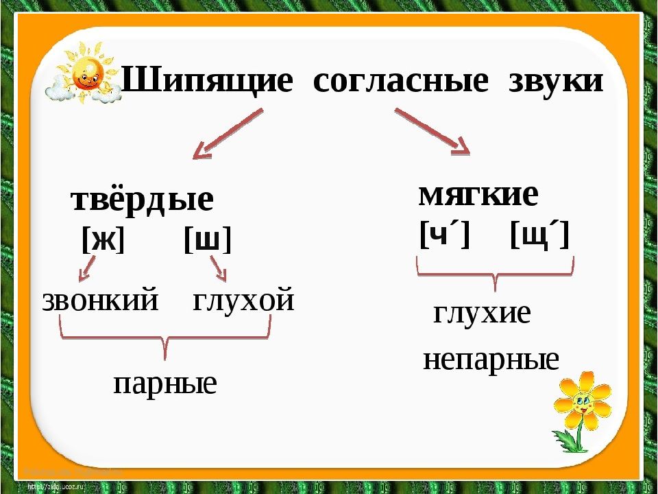 Логопедия звук [ш]: как научить ребёнка выговаривать шипящие правильно