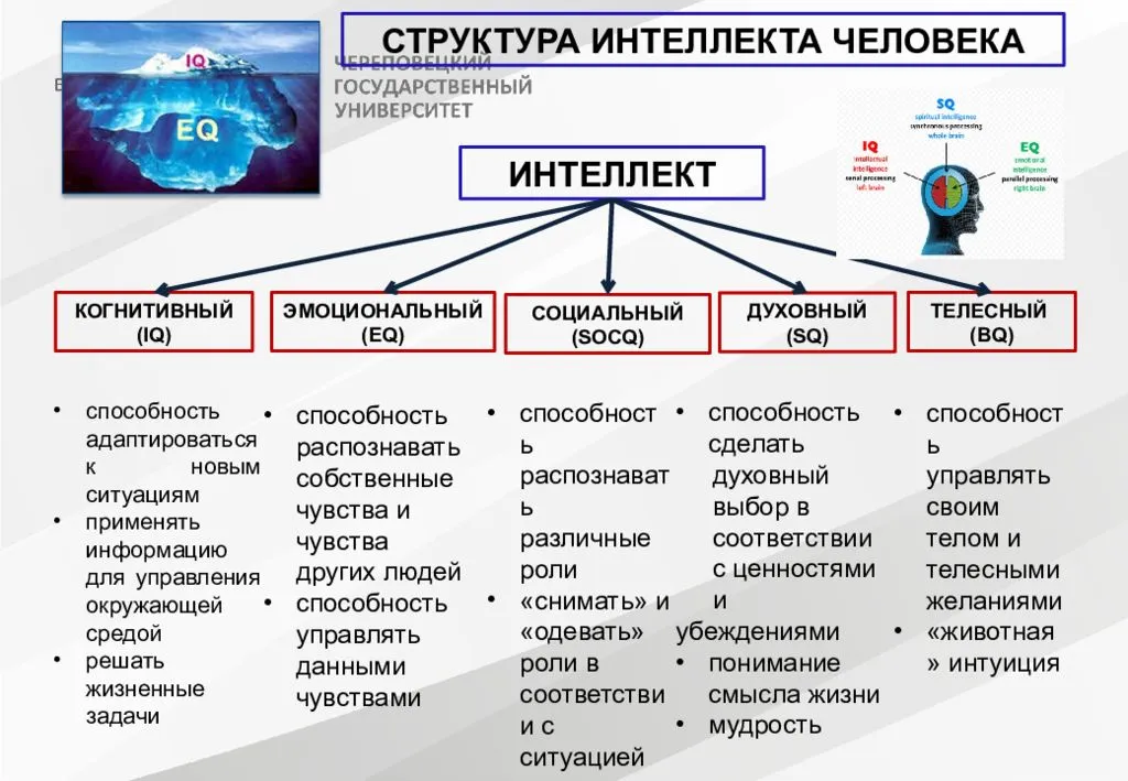 Интеллект При этом слове многие из нас испытывают своеобразную гордость поскольку известно что человек обладает им в высшей мере