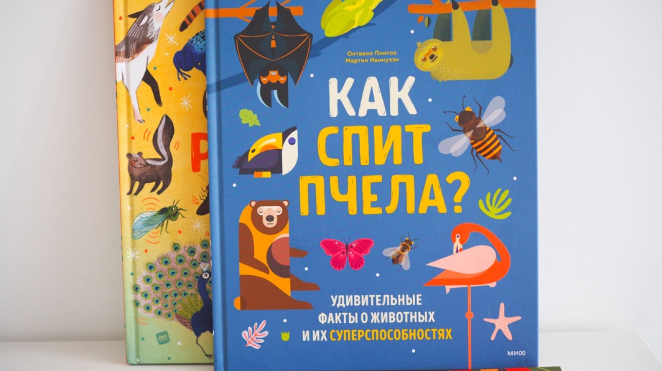 Меры наказания ребенка ✔️ как наказывать правильно | "где мои дети" блог