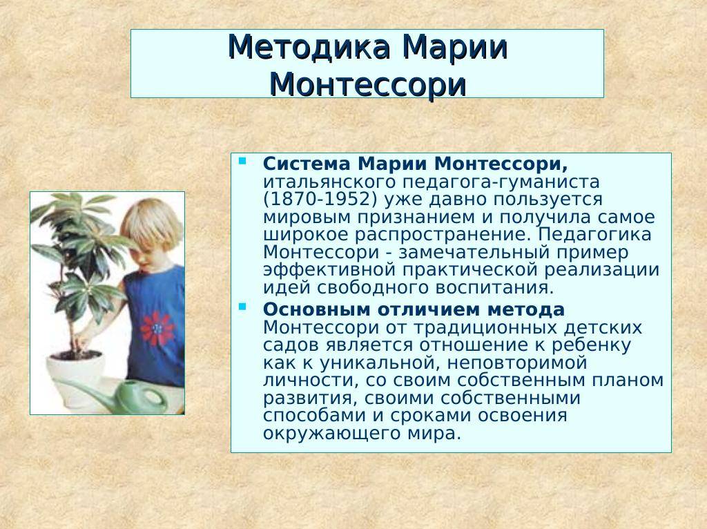 Ощущения и восприятие как первичная основа познания и обучения - психологические основы обучения - дидактика средней школы